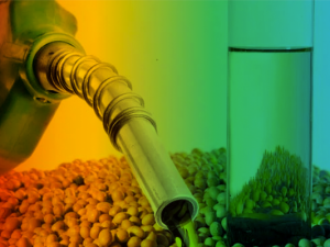 Biodiesel